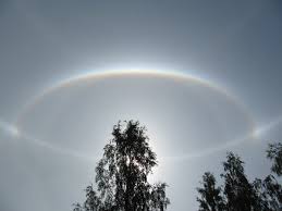 Kuvahaun tulos haulle haloilmi