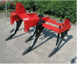 Image result for badalini tehron