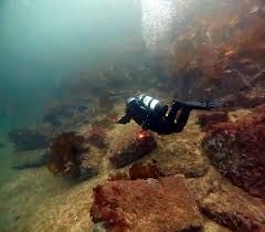 Image result for East Cheshire Sub-Aqua Club