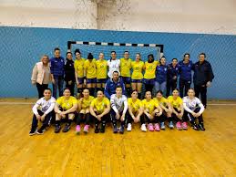 Image result for Deva Handball Club