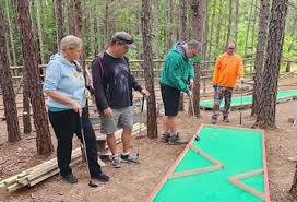 Image result for Southill Short Mat Bowls Club