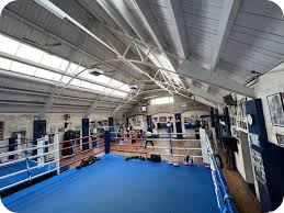 Image result for Aldershot & Farnham Boxing Club