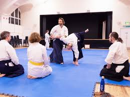 Image result for Aikido - Shobu UK