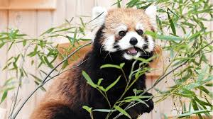 「山田桐生」の画像検索結果