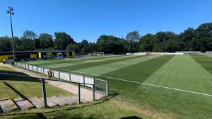Image result for East Grinstead Town Football Club