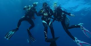 Image result for Scuba Fun