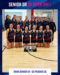 Image result for Swan Centre Netball Club