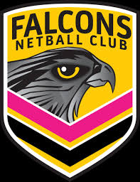 Image result for Falcons Netball Club