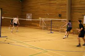 Image result for Hunters Badminton Club