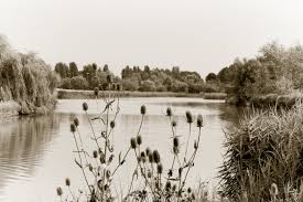 Image result for Bexleyheath and District Sea Angling Society