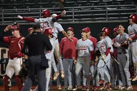 Image result for Hessle Baseball Club