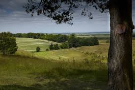 Image result for Royston Golf Club Ltd