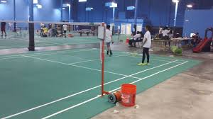 Image result for Avondale Pta Badminton Club