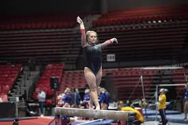Image result for Biddick Sports College Community Gymnastics Club
