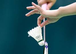 Image result for Ecclesfield Badminton Club