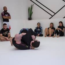 Image result for Team Renegade BJJ & Judo