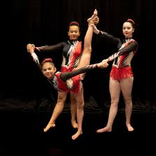 Image result for L&G Acrobatic Gymnastics