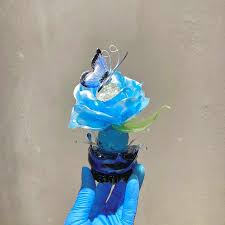 あめくん에 대한 이미지 검색결과