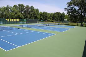 Image result for Sycamore Ttc