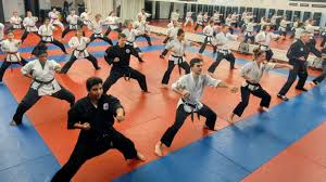 Image result for Sudbury Hapkido Club