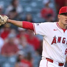 Image result for Angmering Stoolball Club