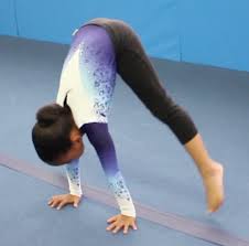 Image result for North East London Gymnastics Club