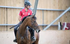 Image result for Porlock Vale Riding School