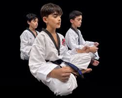 Image result for New Milton Taekwondo Club