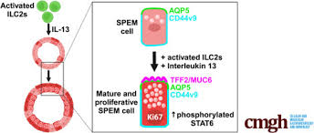 Image result for Cambridge N C I Cc