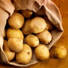 Attēlu rezultāti vaicājumam “Solanum tuberosum”