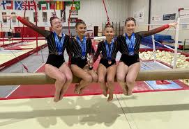 Image result for Waveney Gymnastics Club
