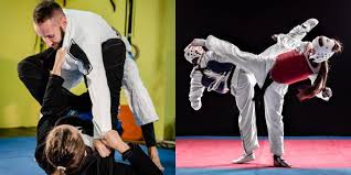 Image result for Tae-jitsu