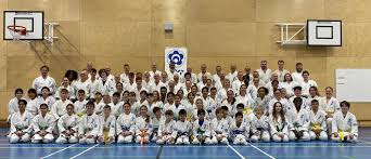 Image result for Aylesbury Vale Seido Karate