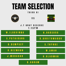 Image result for Wandham Cricket Club