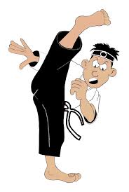 Image result for Sokudo Martial Arts Club