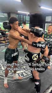 Image result for Petch Yin Dee International Muay Thai Boxing Camp