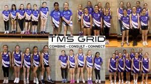 Image result for Greencroft Netball Club