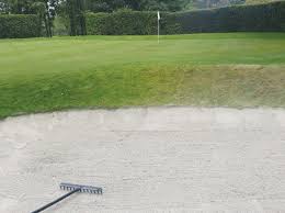 Image result for Chipstead Bowling Club