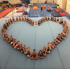 Image result for Maple Gymnastics Club
