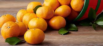 Bildergebnis für clementine