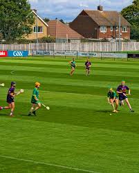 Image result for Green Isle Camogie Club - Players Wanted!