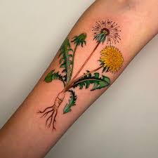 Image result for diente de leon