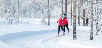 Image result for Scandinavian slope and cross country skiing
