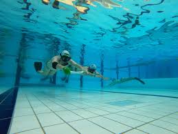 Image result for TAROT Octopush Club