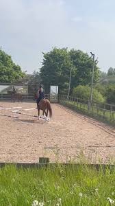 Image result for Lower Farm Stables