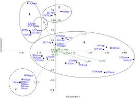Attēlu rezultāti vaicājumam “Licea pusilla sessile”