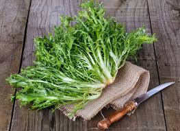 Image result for Endivie