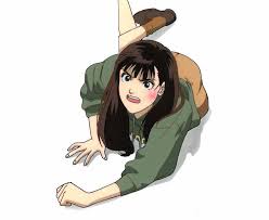 Image result for roujin z