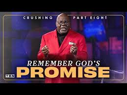 Image result for tbn