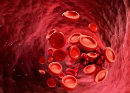 Image result for blood